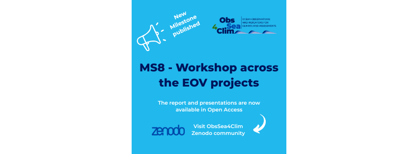 Workshop across the EOV&nbsp;projects