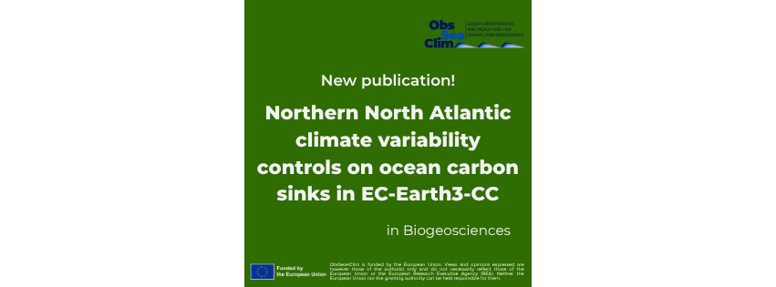 Northern North Atlantic climate variability controls on ocean carbon sinks in&nbsp;EC-Earth3-CC
