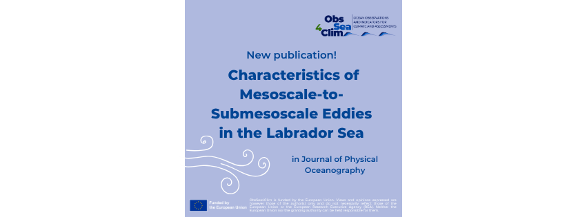 Characteristics of Mesoscale-to-Submesoscale Eddies in the Labrador Sea: Insights from Ship&nbsp;Observations