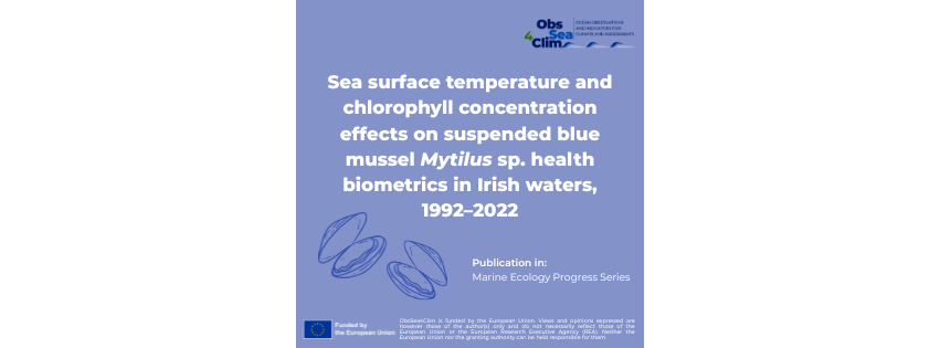 Sea surface temperature can affect blue mussels health – new&nbsp;study