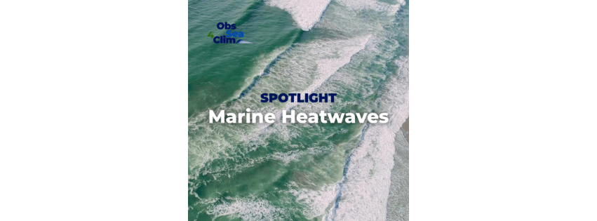 Spotlight: Marine Heatwaves