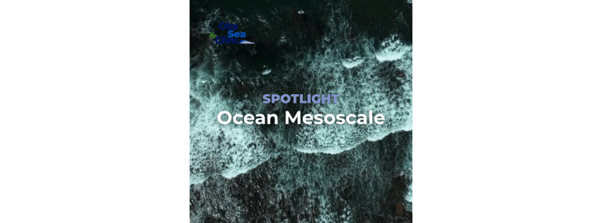 Spotlight: Ocean Mesoscale