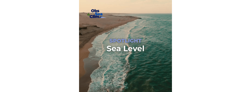 Spotlight: Sea Level