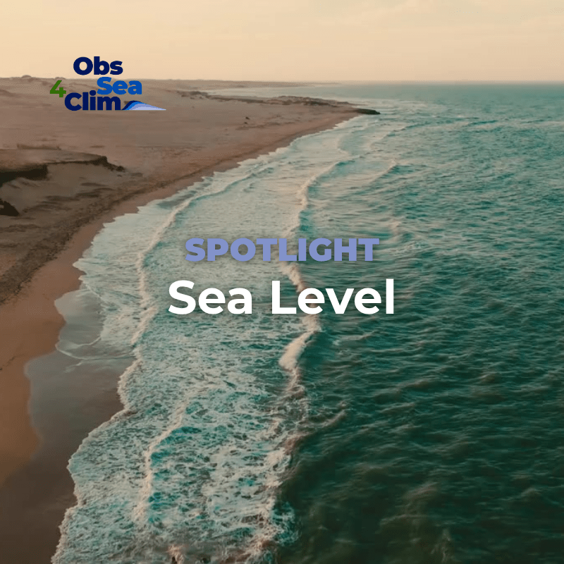 Spotlight: Sea Level